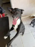 Magali