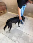 Magali