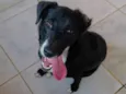 Magali