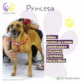Princesa