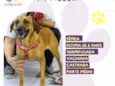 Princesa