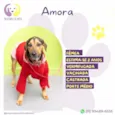 Amora :)