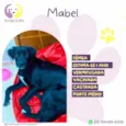 Mabel