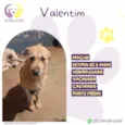 Valentim