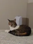 Charlie 