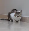 Charlie 