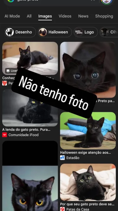 Gato raça SRD-ViraLata idade 2 anos nome de rua (não sei)
