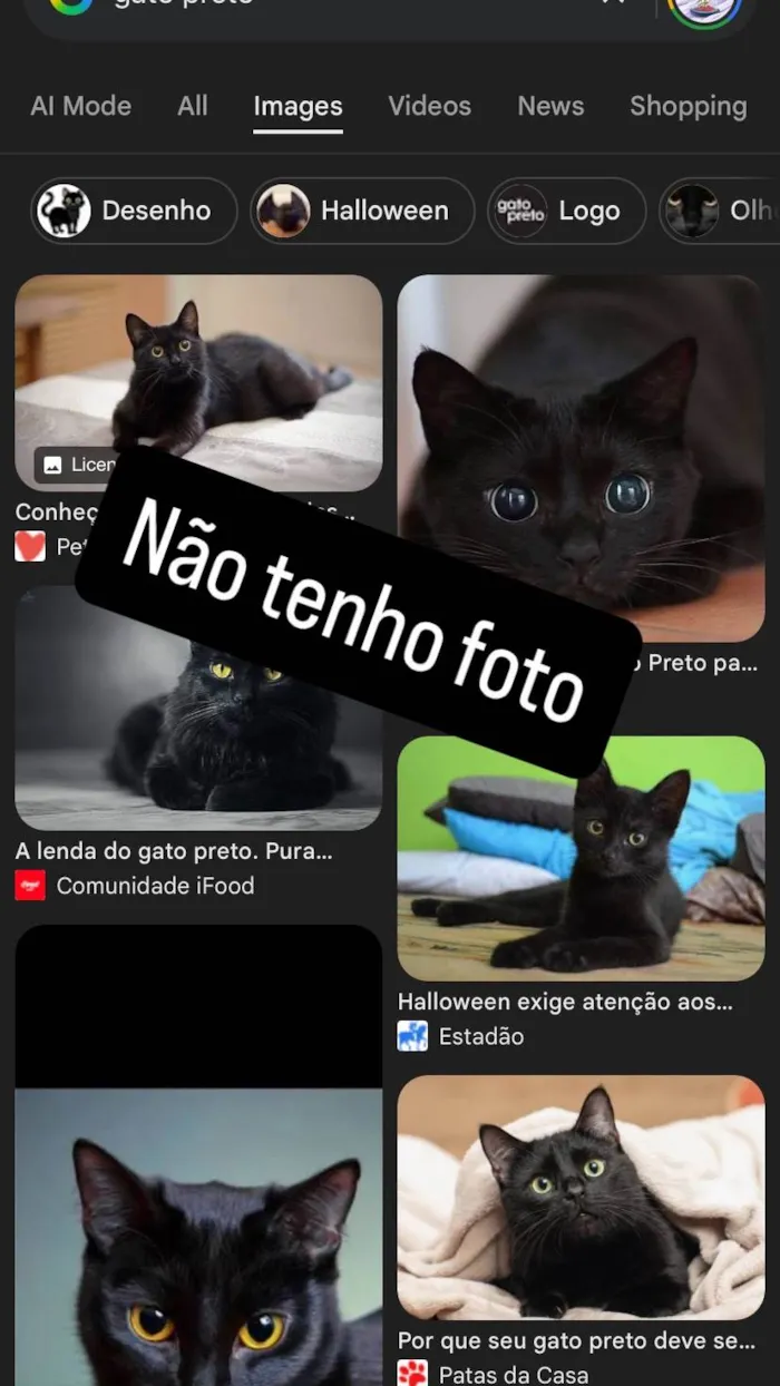 Gato ra a SRD-ViraLata idade 2 anos nome de rua (não sei)