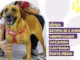 Princesa
