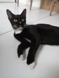 Mine 