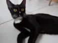 Mine 