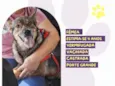 Loba