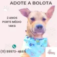 Bolota