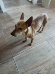 Princesa