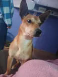 Princesa
