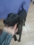 Belinha