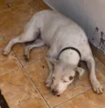 Lua