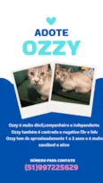 Ozzy