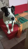 Bruce