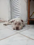 Flocos