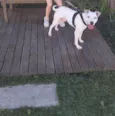 Billy