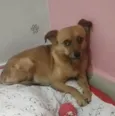 Nina 