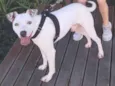 Billy