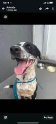 Chico