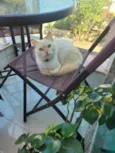 Izzie