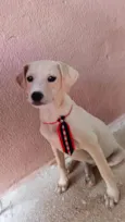 Bam