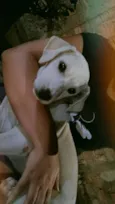 Bam