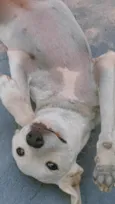 Bam