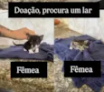 Sem nome
