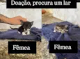 Sem nome
