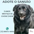 Sansão 