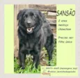Sansão 