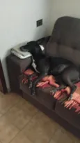 Emi e Luna