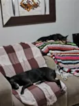 Emi e Luna