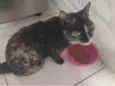 Melinda