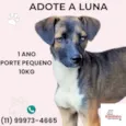 Luna