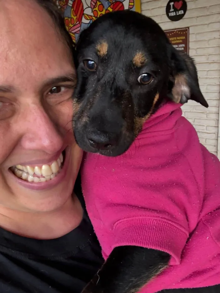 Cachorro ra a SRD-ViraLata idade 2 a 6 meses nome Zoe 