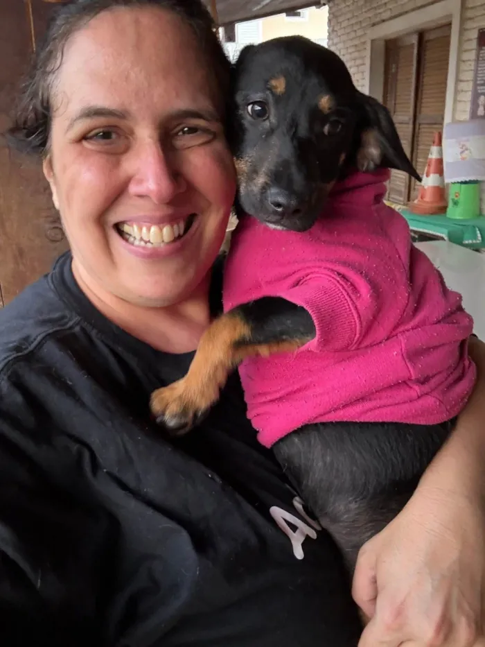 Cachorro ra a SRD-ViraLata idade 2 a 6 meses nome Zoe 