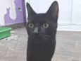 BLACKIZINHA