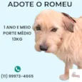 Romeu