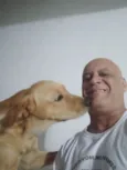 Dom