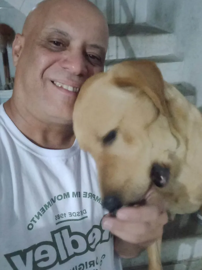 Cachorro ra a SRD-ViraLata idade 3 anos nome Dom