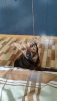 Sol