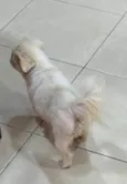 PIT