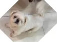 PIT