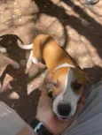 Mel